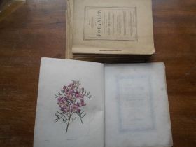MAUND, B. The Botanist Nos. 13-19, 22-25 plus Supplement, 1838-39, orig. printed wrps. hand cold.