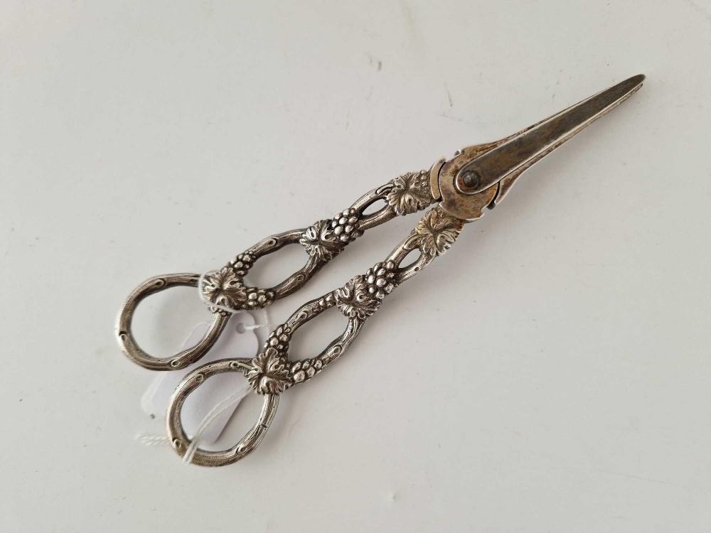 Pair of Victorian grape scissors decorated with vine motives with makers mark C R W S only - Image 2 of 2