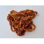 Three baltic amber necklaces two of opera length