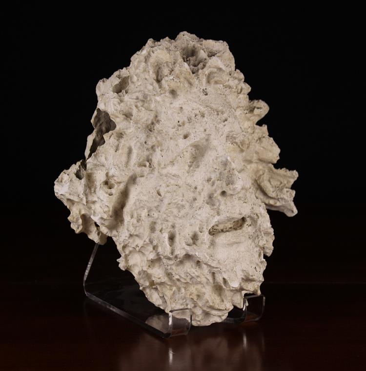 A Plaster Cast Antiquity Head of a windswept, bearded man, approx 7½" (19 cm) high, - Image 3 of 4