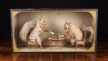 A Vintage Anthropomorphic Taxidermy Display of Two Squirrels sat at a table playing cards,