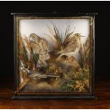 A Vintage Taxidermy Display of three birds on a rocky base tufted with clumps of grasses and reeds