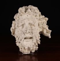 A Plaster Cast Antiquity Head of a windswept, bearded man, approx 7½" (19 cm) high,