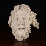 A Plaster Cast Antiquity Head of a windswept, bearded man, approx 7½" (19 cm) high,