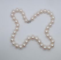 An 18" white cultured pearl necklace with a silver lobster claw clasp