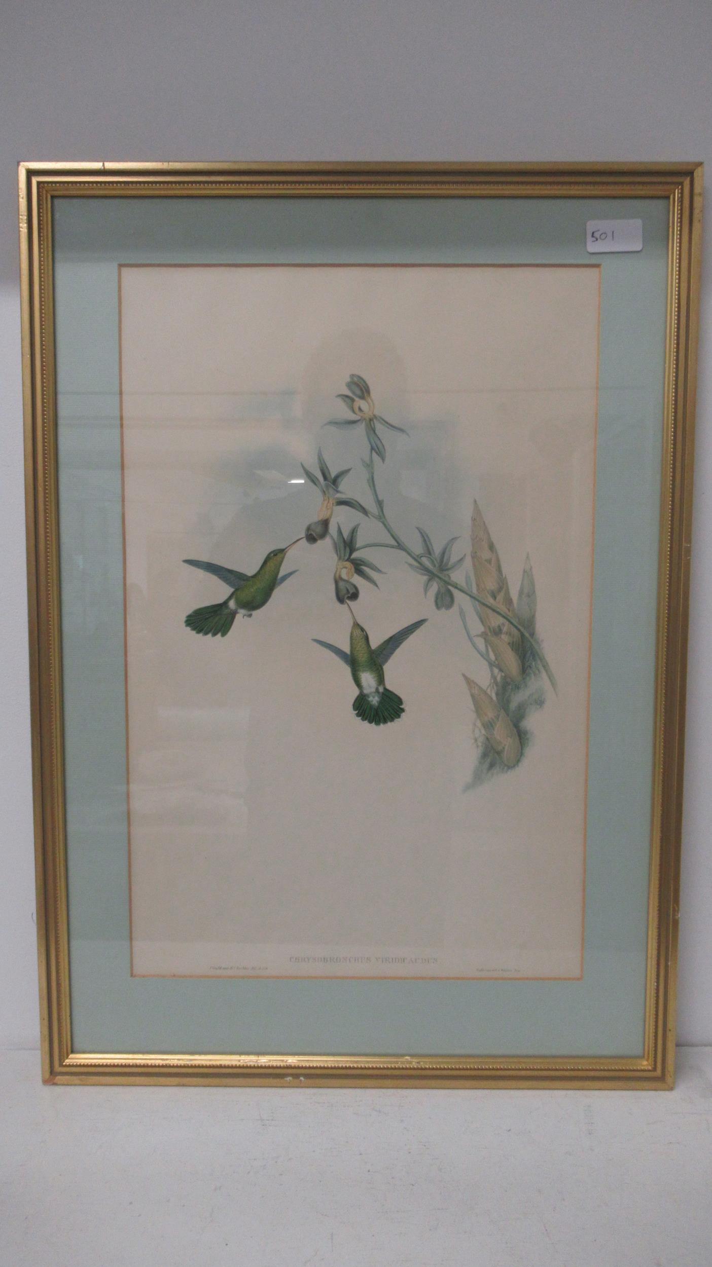 After Gould & Ritcher - Set of three Ornithological lithograph colour prints - 50cm x 33cm - - Image 4 of 5