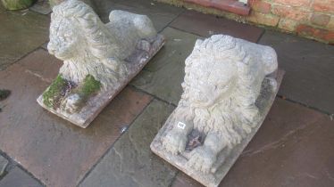 A pair of good quality concrete lions, 83cm long x 48cm high