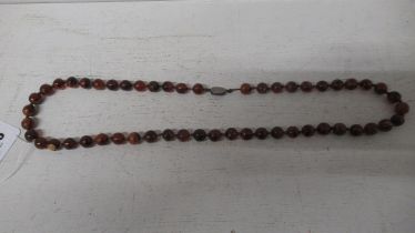 An amber bead necklace - 62cm - with a silver clasp