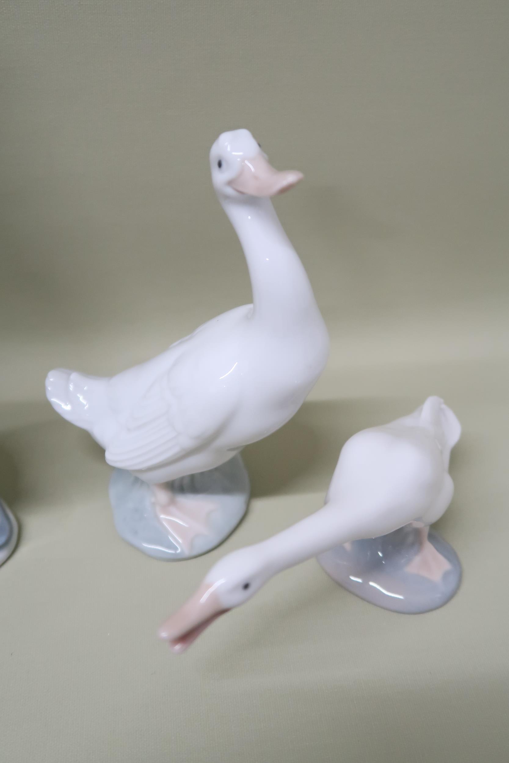 Six Lladro figures including Polar Bears (3), Goose and seated Lady with Bird, one Nao Goose - Bild 2 aus 5