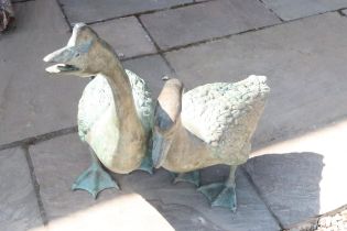 A pair of bronze geese - Largest Height 74cm x Length 60cm