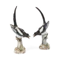A LARGE PAIR OF MEISSEN PORCELAIN FIGURES OF MAGPIES 19TH CENTURY modelled by J. J. Kändler with