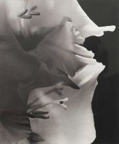 David Cripps (1938-2013) Gladioli VII, 1993 toned silver bromide print, framed unsigned 37 x 30.