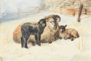 Φ Hannah Barlow (1851-1916) Out in the Snow watercolour on paper of farmyard scene of a sheep