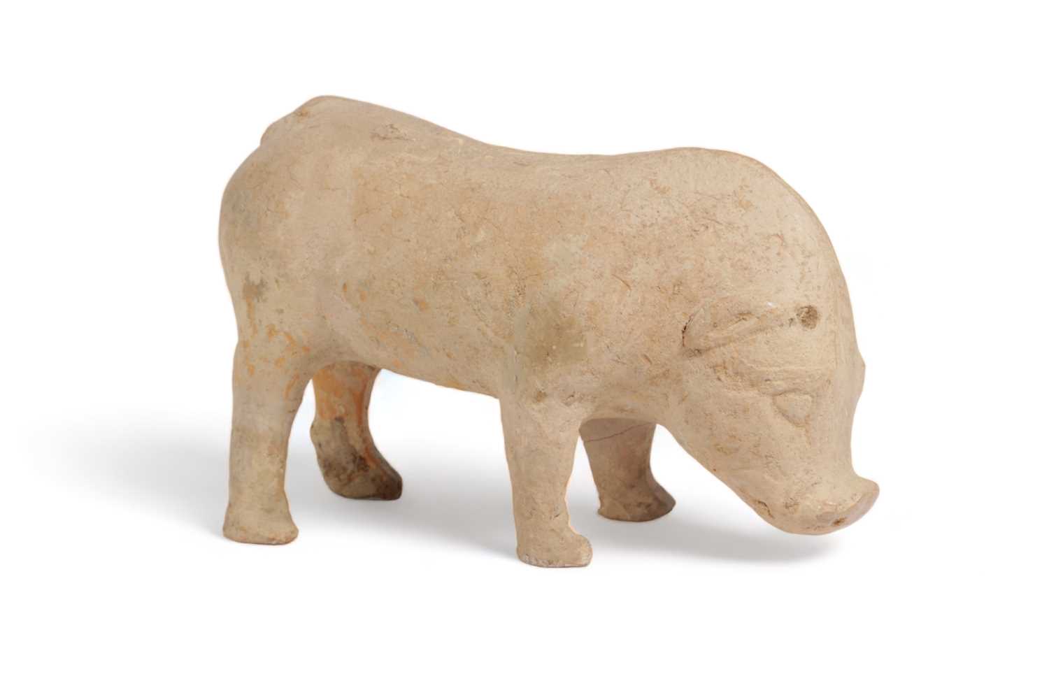 A CHINESE TERRACOTTA FIGURE OF A BOAR standing four square 22cm high, 34cm long Provenance A Private