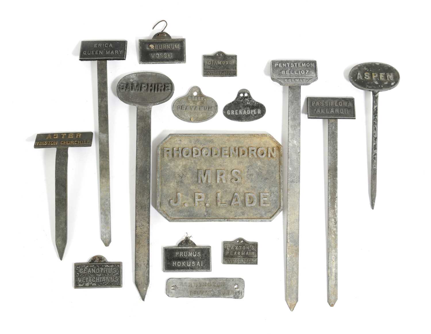 A COLLECTION OF CAST METAL PLANT LABELS LATE 19TH CENTURY AND LATER including examples on stakes and