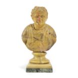 AN ITALIAN GIALLO ANTICO GRAND TOUR BUST OF THE ROMAN EMPEROR VESPASIAN LATE 18TH / EARLY 19TH