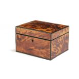 λ A TORTOISESHELL BOX LATE 19TH CENTURY with ebony edging and a vacant interior 10.1cm high, 15.