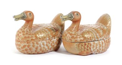 A PAIR OF ITALIAN PORCELAIN MANDARIN DUCK BOXES AND COVERS BY MOTTAHEDEH, 20TH CENTURY inscribed '