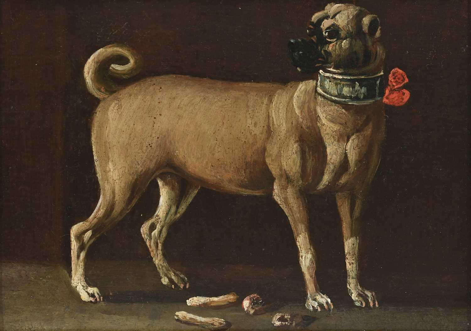 ITALIAN SCHOOL LATE 18TH / EARLY 19TH CENTURY Portrait of a pug with a red collar, Portrait of a pug - Image 7 of 9