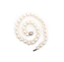 A single row cultured pearl necklace, the matched white pearls with a 9ct gold spherical clasp,