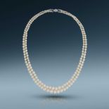 Boucheron, a fine and rare natural pearl and diamond necklace, first half 20th century, composed