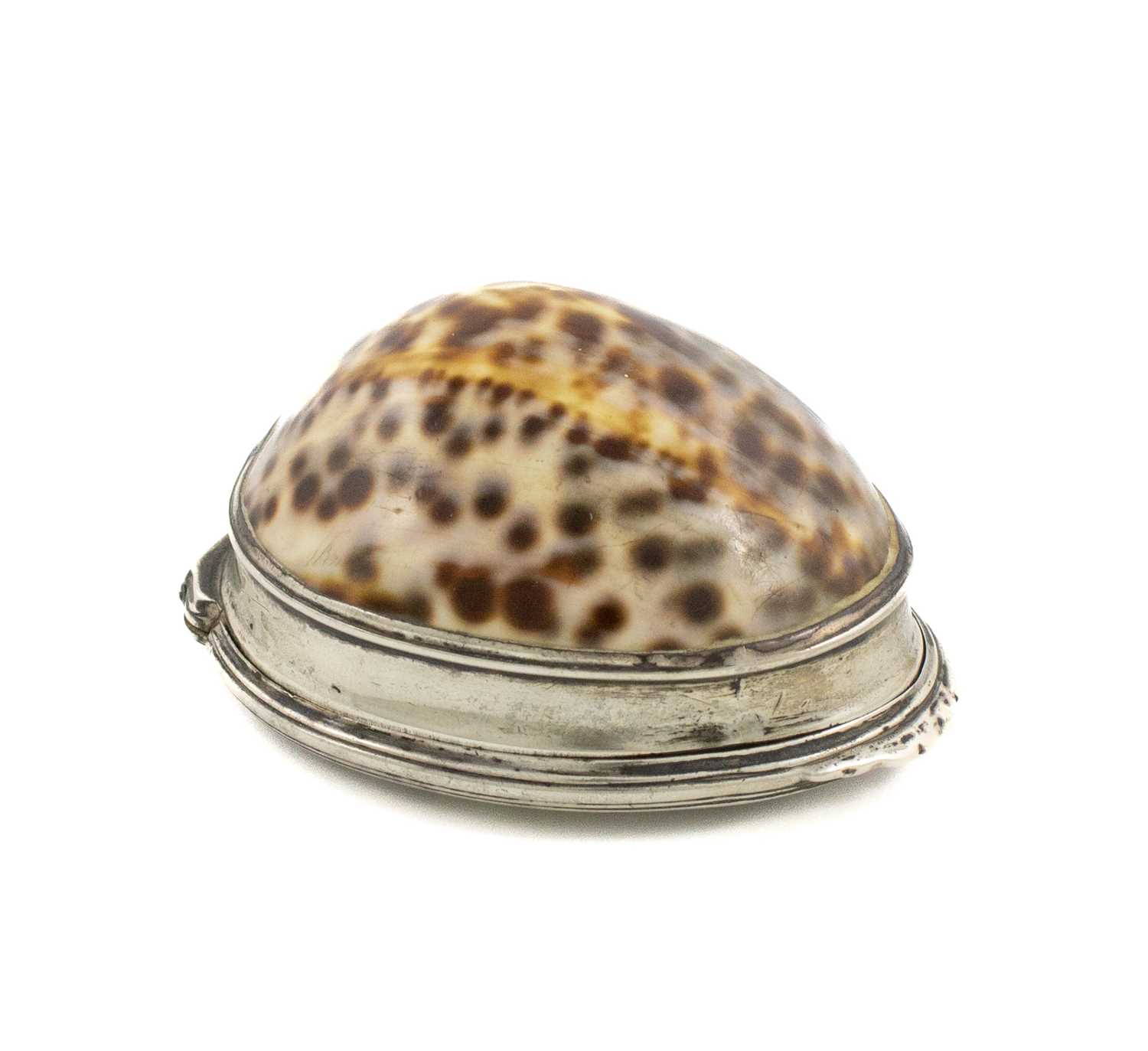 A George II silver-mounted cowrie shell snuff box, by Robert Collier or Robert Cox, London circa