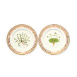 Two small Royal Copenhagen Flora Danica plates, 20th century, painted with a botanical specimen of