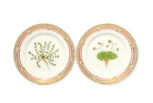 Two small Royal Copenhagen Flora Danica plates, 20th century, painted with a botanical specimen of