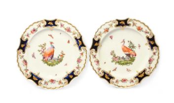 A pair of Chelsea plates of Mecklenburg-Strelitz type, c.1764, the moulded borders with flower