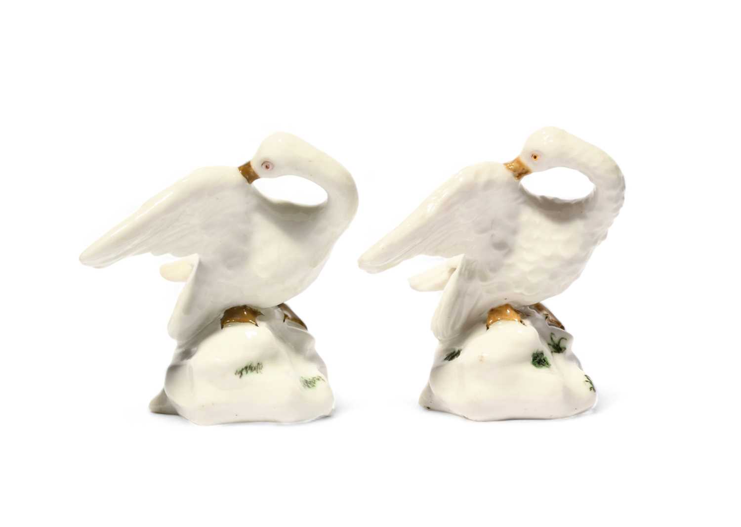 Two Capodimonte figures of swans, c.1748-55, modelled by Giuseppe Gricci, each preening its right