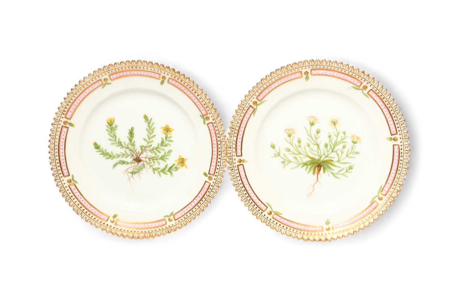 Two small Royal Copenhagen Flora Danica plates, 20th century, painted with botanical specimens