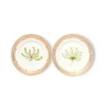 Two small Royal Copenhagen Flora Danica plates, 20th century, painted with botanical specimens