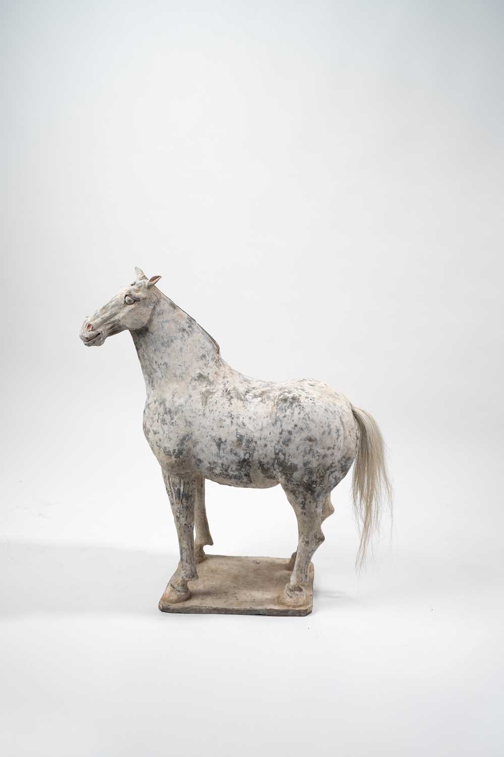 A MASSIVE CHINESE POTTERY HORSE TANG DYNASTY The horse depicted standing proudly four-square on a