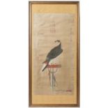 NO RESERVE AFTER CASTIGLIONE (20TH CENTURY) A HAWK A print in ink and colour on paper, framed and