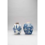 NO RESERVE TWO CHINESE BLUE AND WHITE OVOID JARS KANGXI 1662-1722 One painted with three beautiful