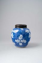 A CHINESE BLUE AND WHITE OVOID 'PRUNUS' VASE KANGXI 1662-1722 Painted with prunus blossoms on a