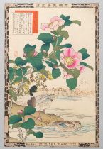 NO RESERVE BAIREI KONO (1844-95) MEIJI ERA, 19TH CENTURY A collection of thirty Japanese woodblock
