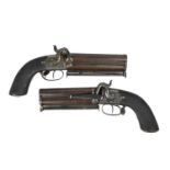 Witton Daw & Co.: A fine pair of 16 bore double percussion pistols, superposed twist brown barrels