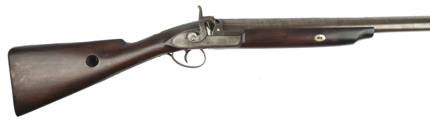 An English 8 bore single percussion gun, heavy twist barrel 41 in., scroll engraved lock, walnut