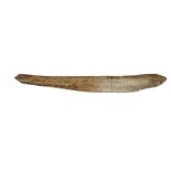 An Indonesian ritual calendar or tally stick, cattle rib bone incised all over with tabulated