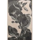 Φ Gertrude Hermes OBE, RA (1901-1983) Belladonna Signed, dated, inscribed and numbered Belladonna