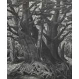 Φ Monica Poole RE (1921-2003) Old Trees Signed, inscribed and numbered Old Trees 37/75 Monica