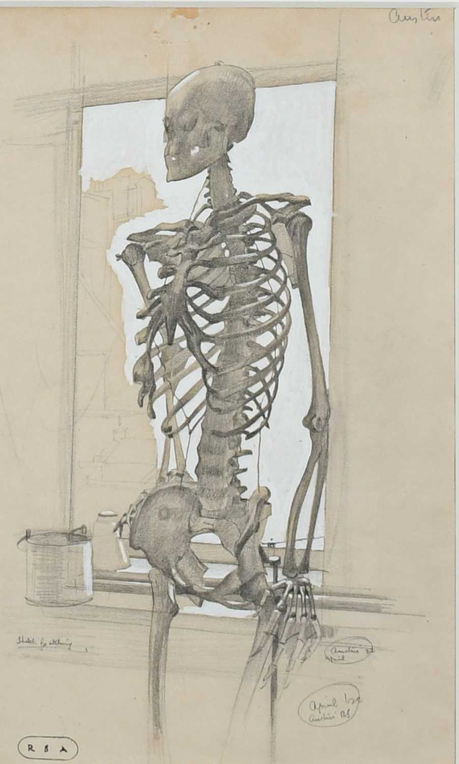 Φ Robert Austin RA, PRE, PRWS (1895-1973) Study of a skeleton Signed Austin (upper right), signed