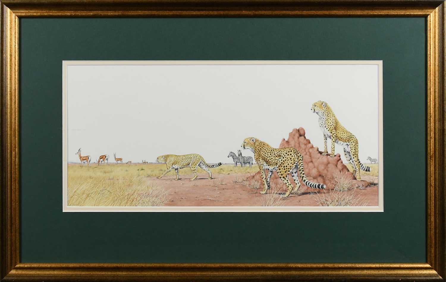 Φ Peter Barrett (b.1935) Cheetahs in the savanna; A hare and otter in a winter landscape; Animal - Image 2 of 12