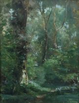 British School Early 20th Century Bluebells along a wooded path Oil on canvas 40.7 x 30.6cm