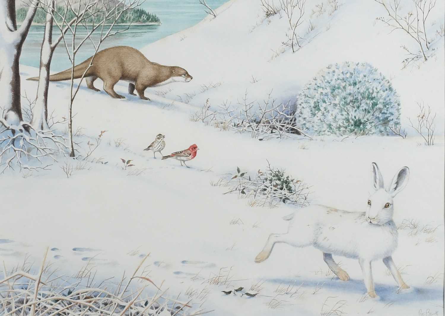 Φ Peter Barrett (b.1935) Cheetahs in the savanna; A hare and otter in a winter landscape; Animal - Image 4 of 12