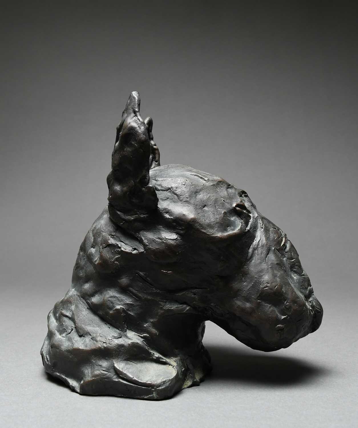 Φ Ray Richardson (b.1964) Bull-terrier Signed RAY 3/6 (to base of neck) Bronze 20.1 x 12.4 x 20. - Image 5 of 6