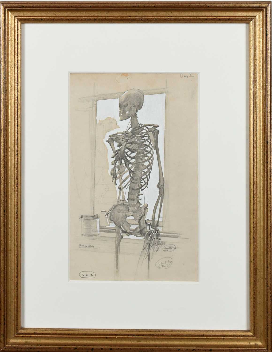 Φ Robert Austin RA, PRE, PRWS (1895-1973) Study of a skeleton Signed Austin (upper right), signed - Image 2 of 4
