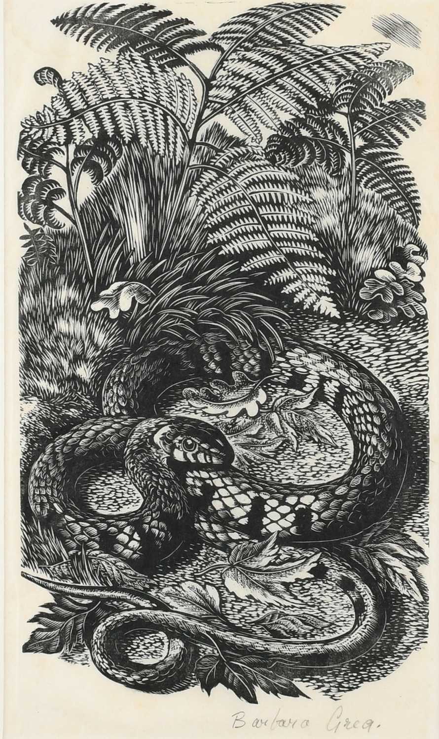 Φ Barbara Greg (1900–1983) The Grass Snake Taking the Last of the Summer's Warmth Signed Barbara