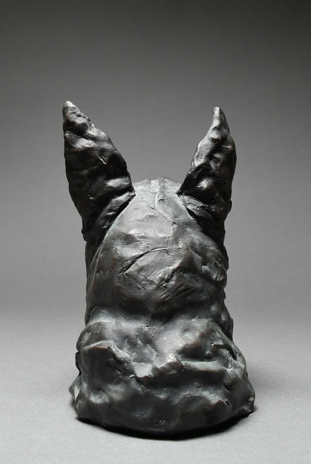 Φ Ray Richardson (b.1964) Bull-terrier Signed RAY 3/6 (to base of neck) Bronze 20.1 x 12.4 x 20. - Image 4 of 6